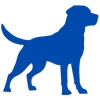 Dog Icon