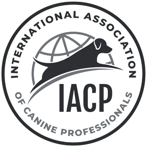 Certification Icon