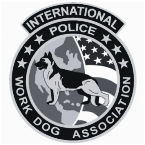 Certification Icon