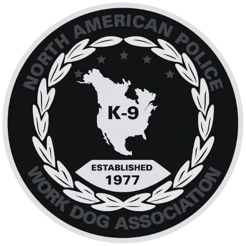 Certification Icon