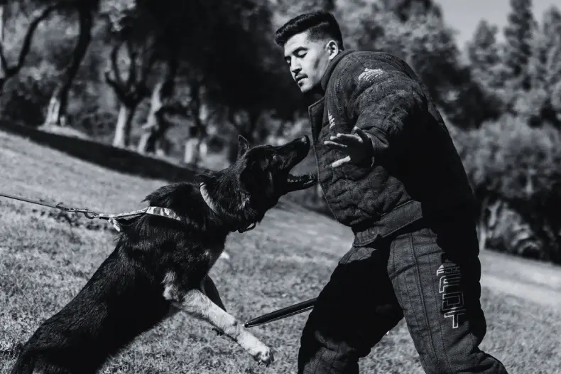 K-9 Sales Protection